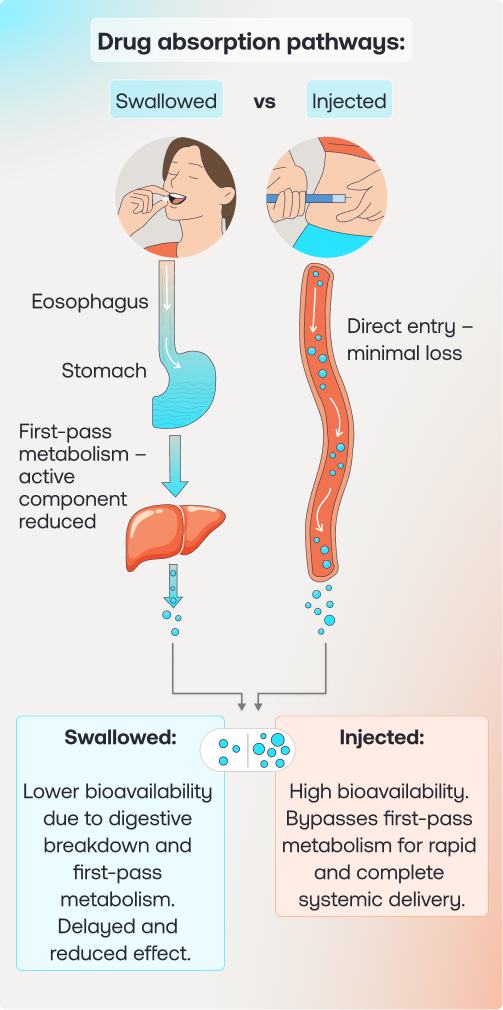 An educational infographic titled "Drug absorption pathways: Swallowed vs Injected." It illustrates how swallowed pills pass through the digestive system and liver (reducing potency), while injections enter the bloodstream directly for higher bioavailability.